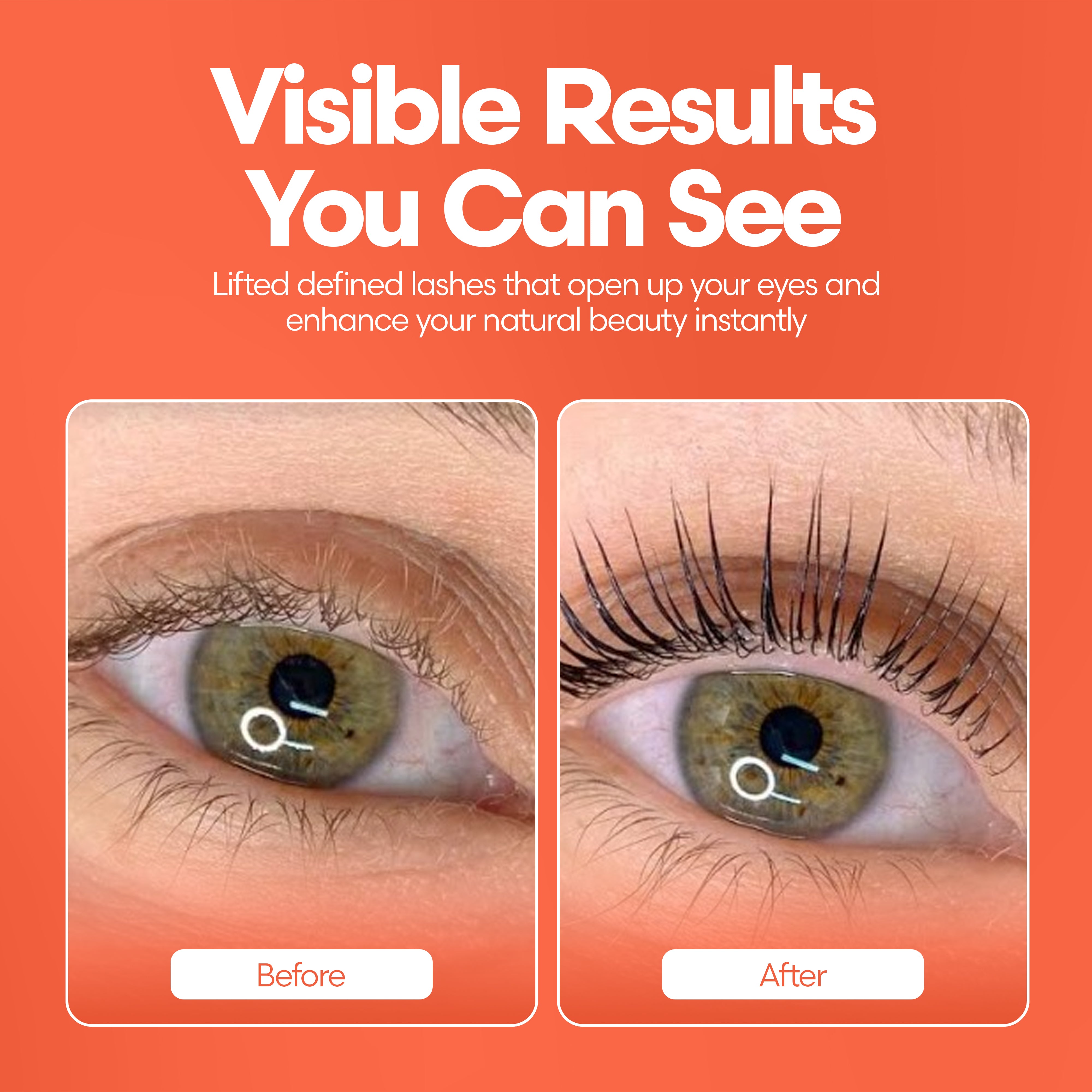 Beauty B!tch Brow Lamination Kit